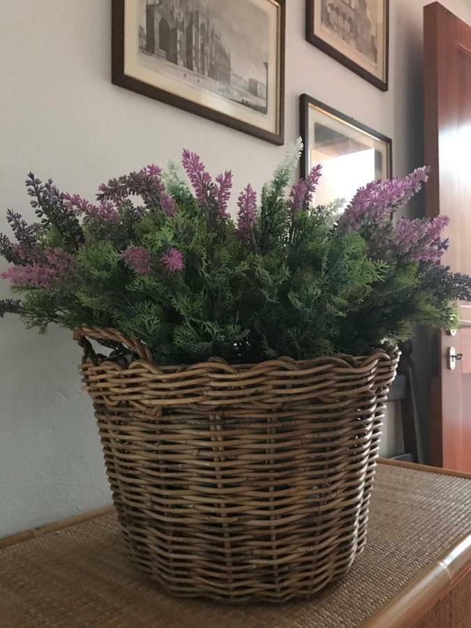 Apartamento Campo al Cerro Bolgheri Exterior foto