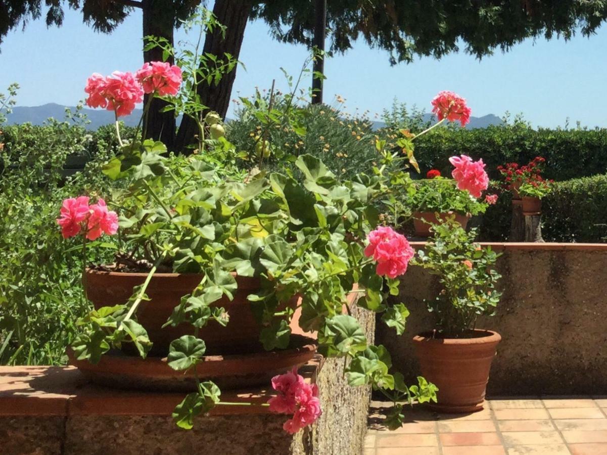 Apartamento Campo al Cerro Bolgheri Exterior foto